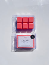 Load image into Gallery viewer, Soy Wax Melts