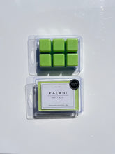 Load image into Gallery viewer, Soy Wax Melts